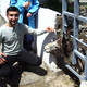 vardan, 42