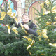 Andrey, 51