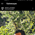 doston, 32 (2 ����, 0 �����)